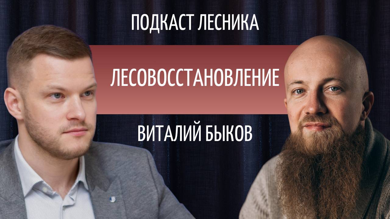 Виталий Быков. Лесовосстановление
