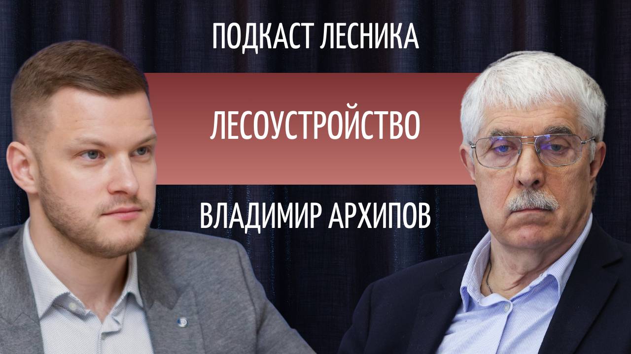 Владимир Архипов. Лесоустройство: история, проблемы, пути решения