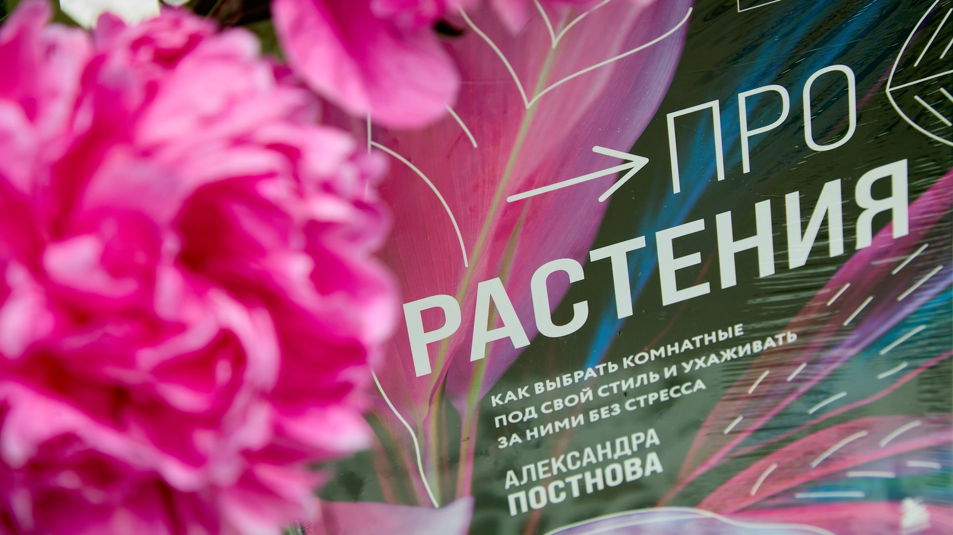 Короткие видео. Подборки растений, про срезанные цветы и не только.