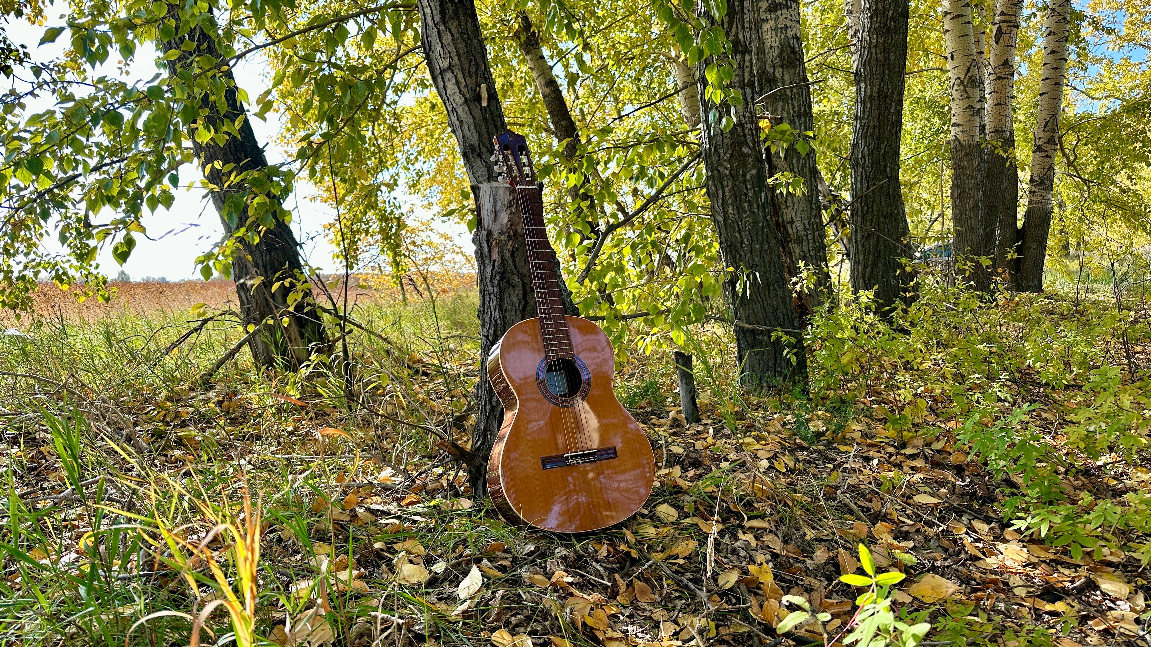 Dolgan.Музыка