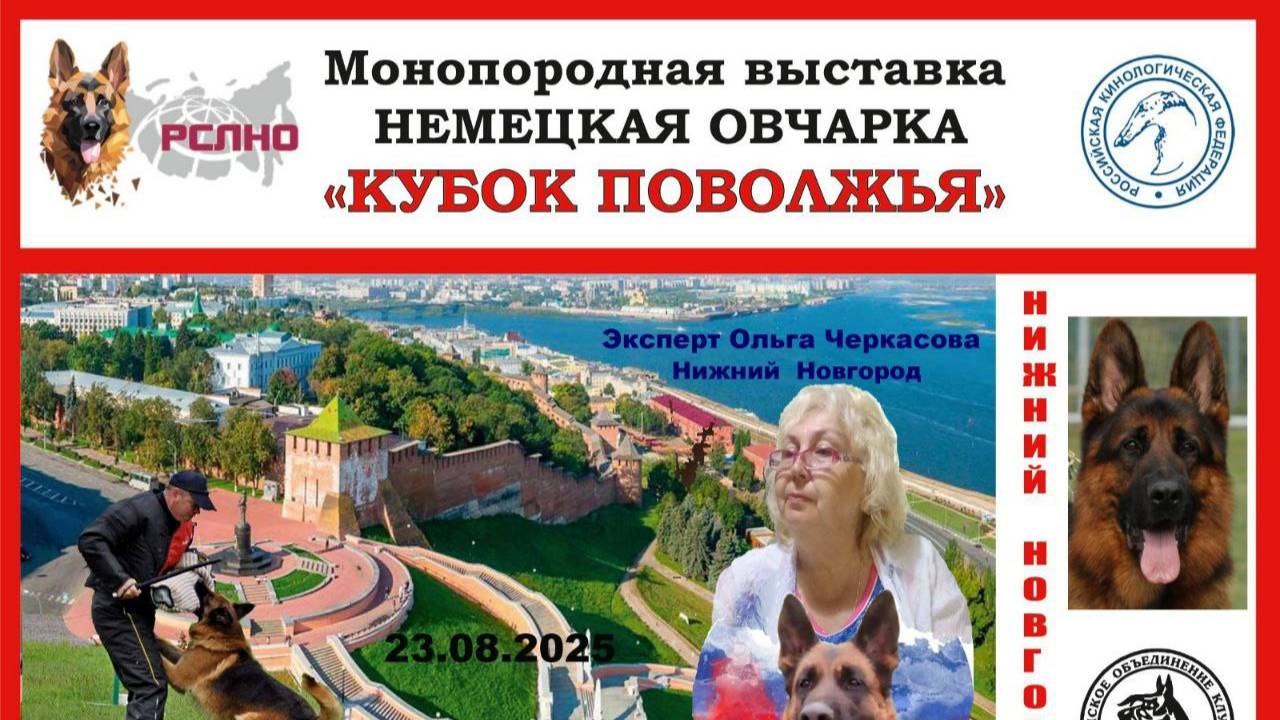 КЧК НИЖНИЙ НОВГОРОД 23 августа`25 О.Черкасова Моно немецких овчарок