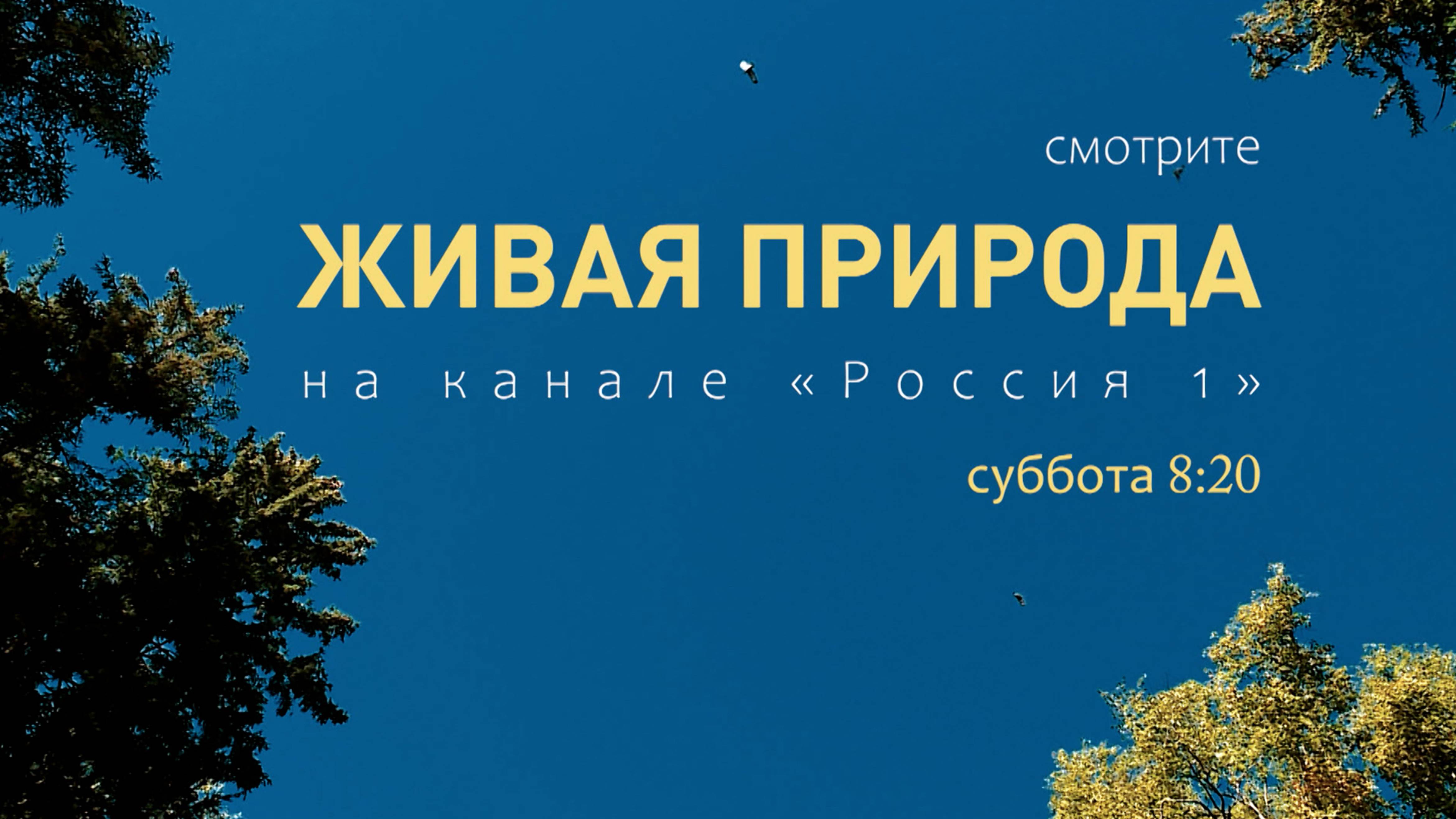 Спецпроект. Живая природа