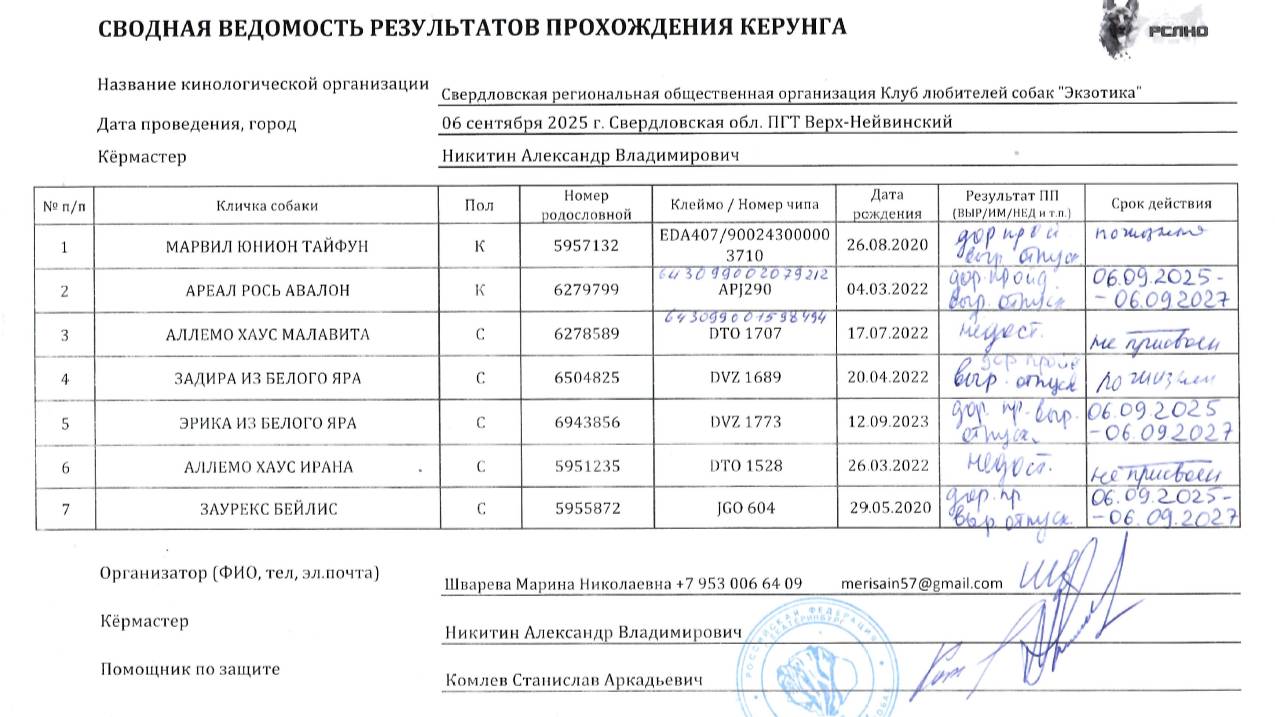 Кёрунг ЕКАТЕРИНБУРГ 06 сен`25 (А.Никитин) 7 собак