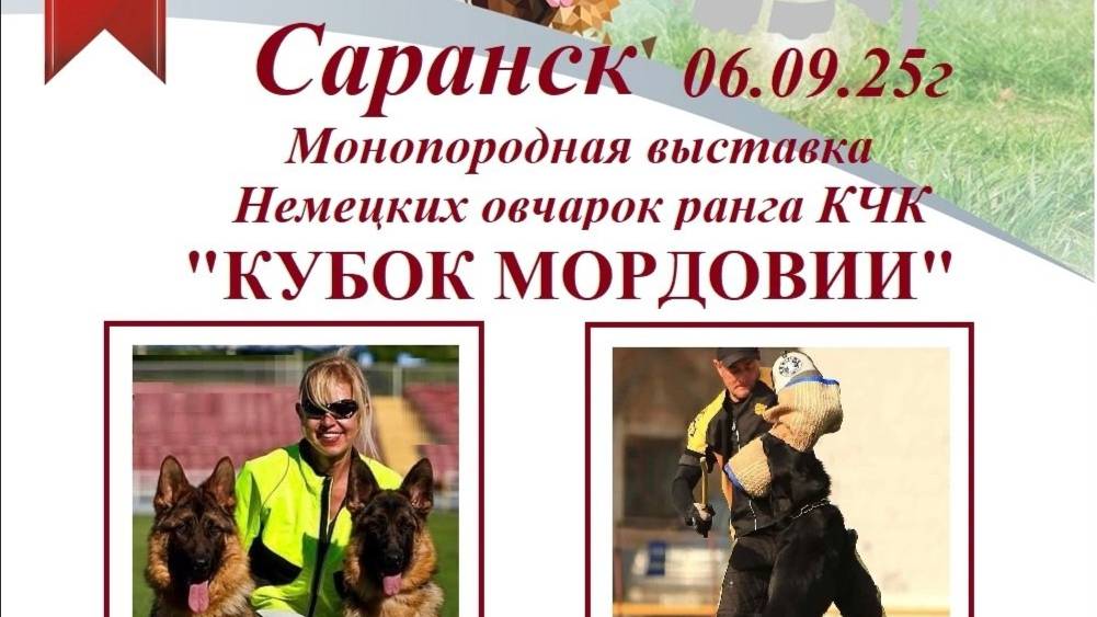 КЧК САРАНСК 6 сентября`25 Е.Близнецова Моно немецких овчарок