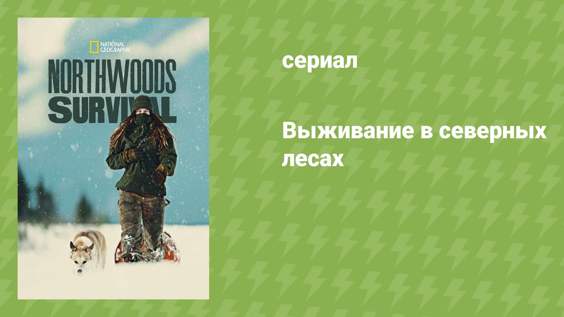 Выживание в северных лесах (документальный сериал, 2024)
