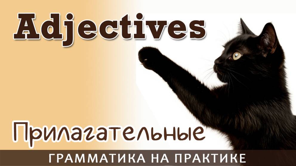 Про Прилагательные.