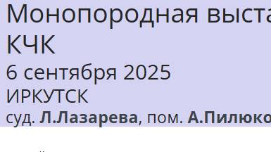 КЧК ИРКУТСК 6 сентября`25 Л.Лазарева Моно немецких овчарок