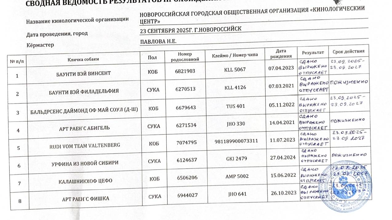 Кёрунг НОВОРОССИЙСК 23 сен`25 (Н.Павлова) 13 собак