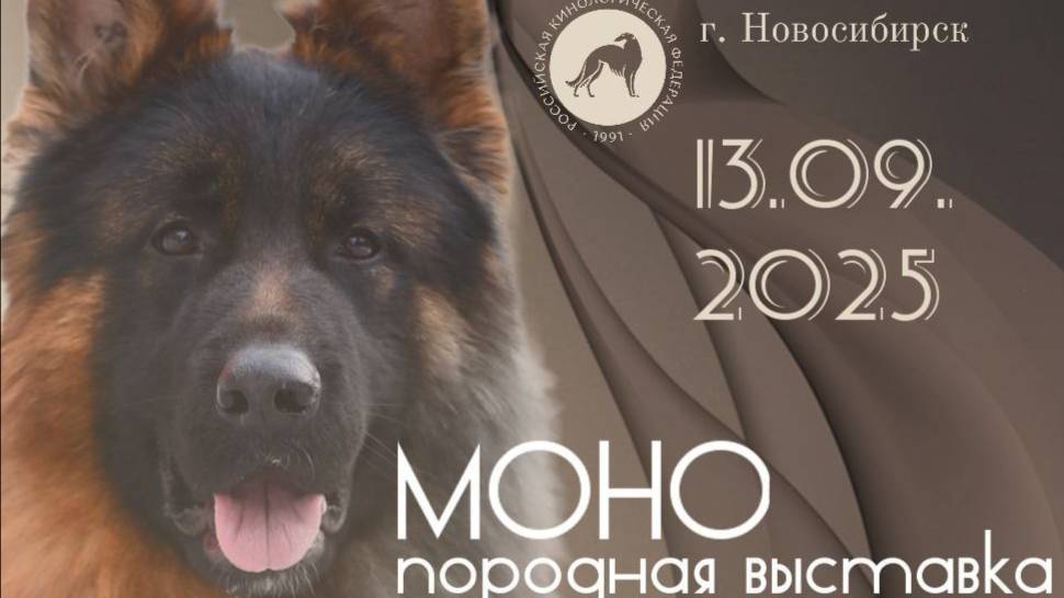КЧК НОВОСИБИРСК 13 сентября`25 В.Богданов Моно немецких овчарок