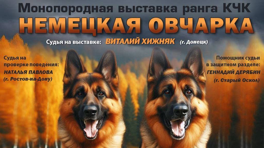 КЧК ВОРОНЕЖ 21 сентября`25 В.Хижняк Моно немецких овчарок