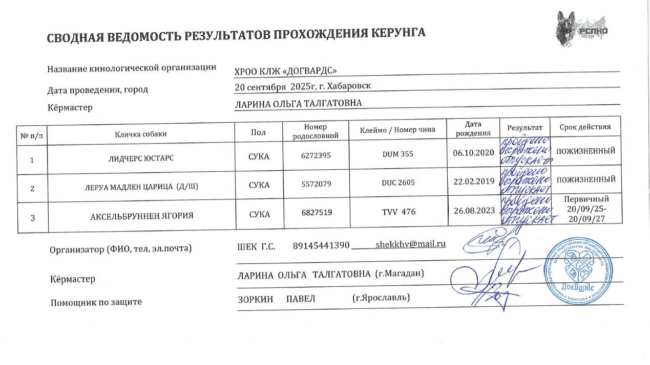 Кёрунг ХАБАРОВСК 20 сен`25 (О.Ларина) 3 собаки