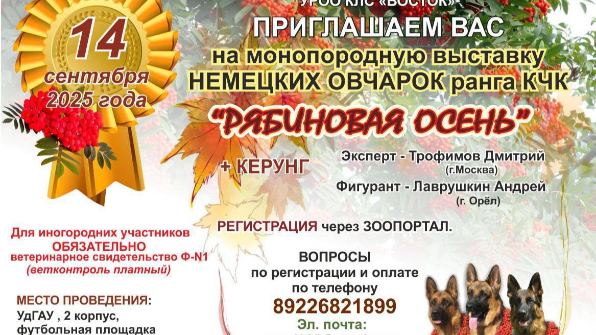 КЧК ИЖЕВСК 14 сентября`25 Д.Трофимов Моно немецких овчарок