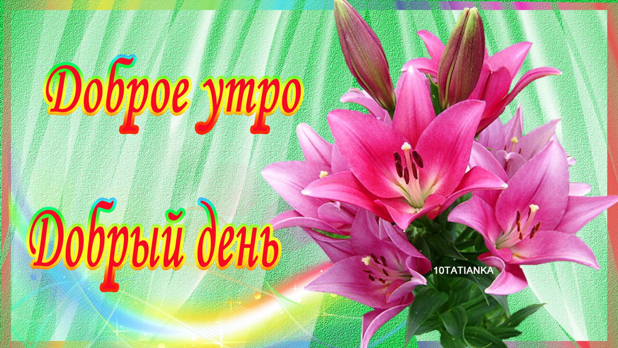 Доброе утро. Добрый день