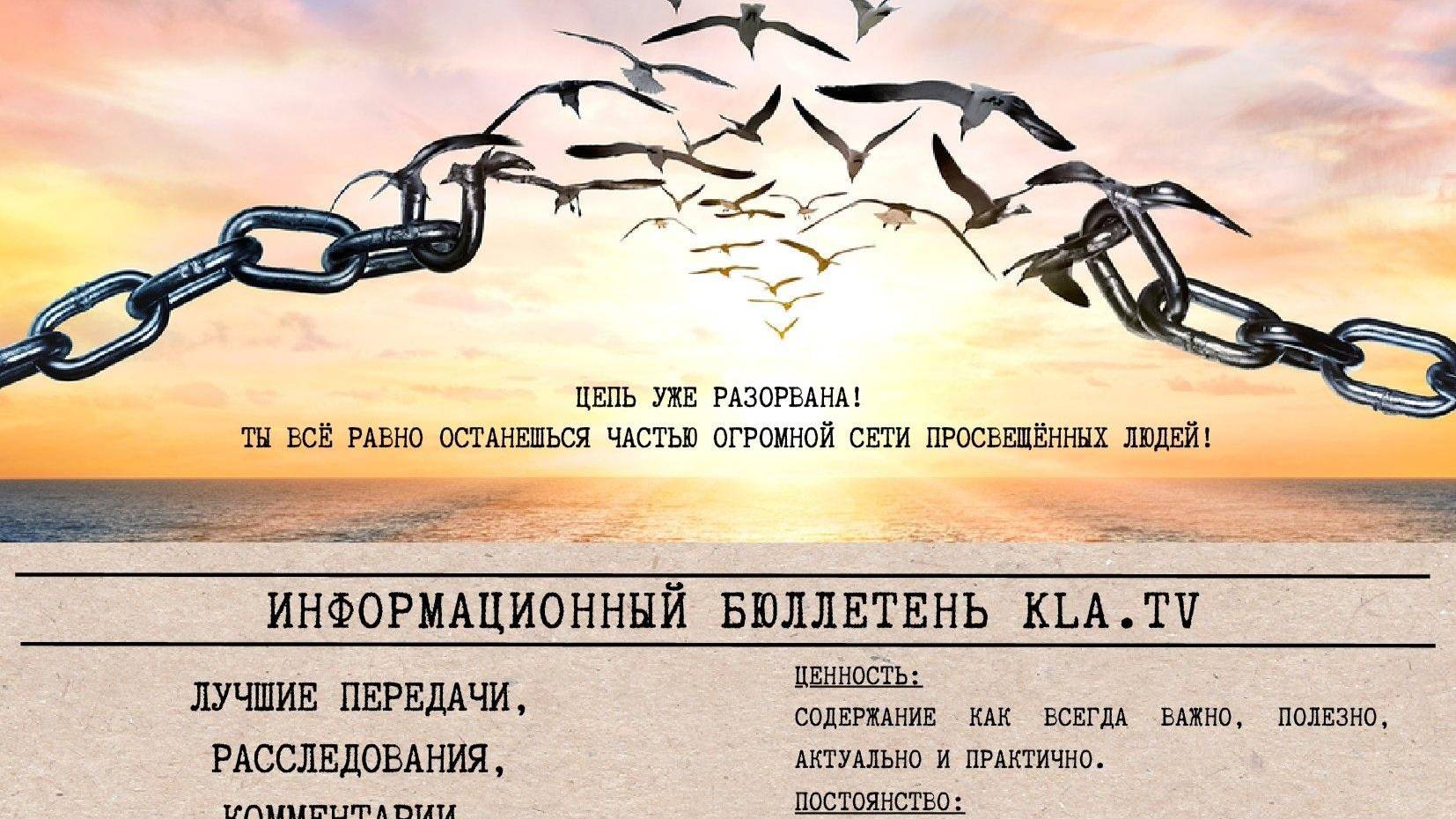 СЕТЬ ПРОСВЕЩЁННЫХ ЛЮДЕЙ