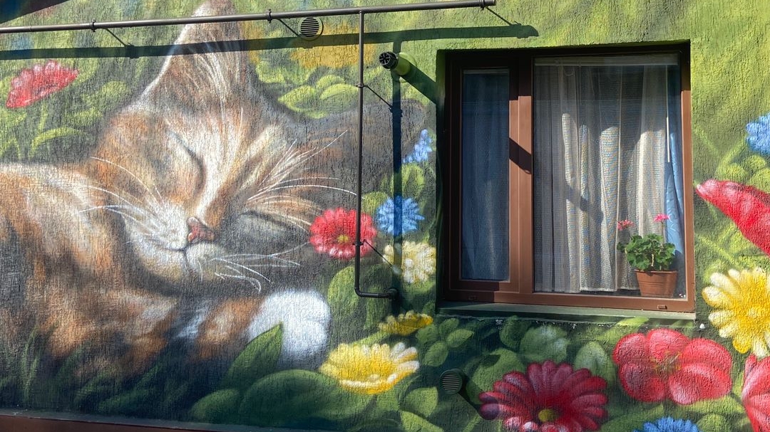 МОИ ПЛАНЫ🍀