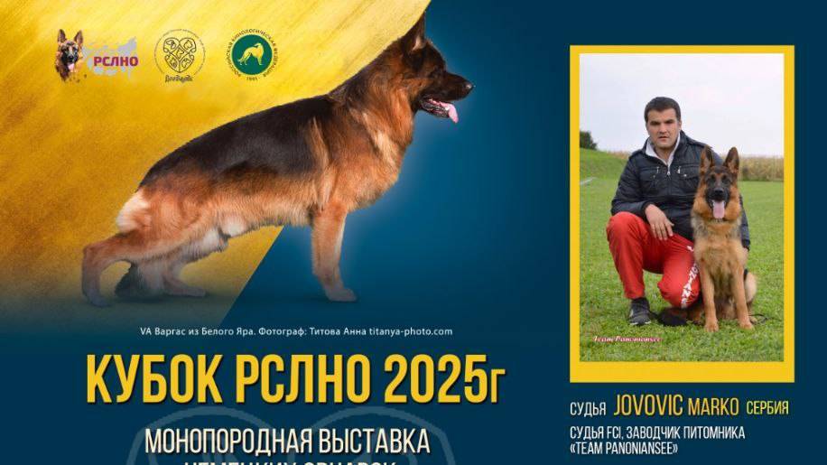 КЧК+ ХАБАРОВСК 20 сентября`25 M.Jovovic Моно немецких овчарок