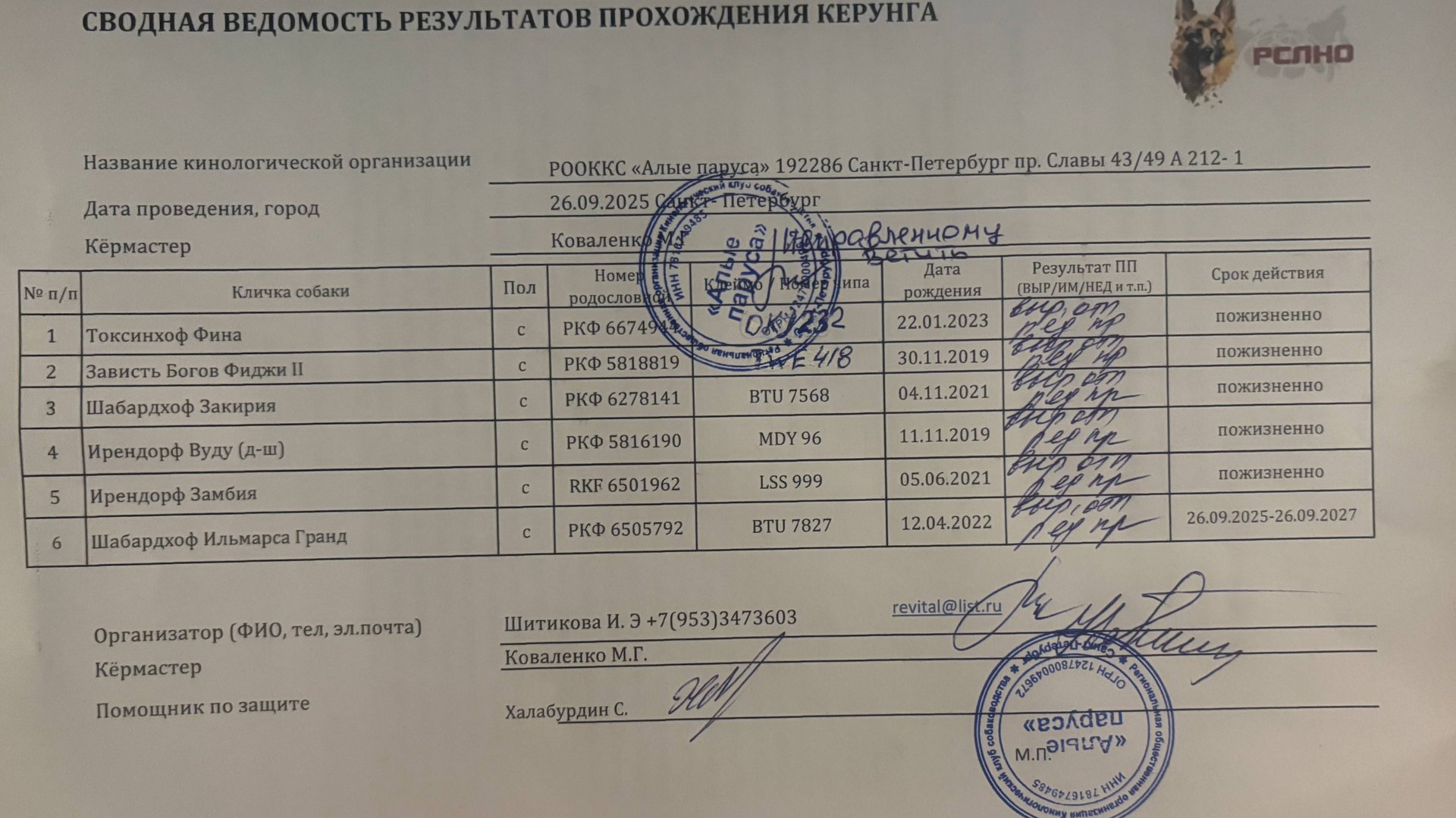 Кёрунг САНКТ-ПЕТЕРБУРГ 26 сен`25 (М.Коваленко) 6 собак