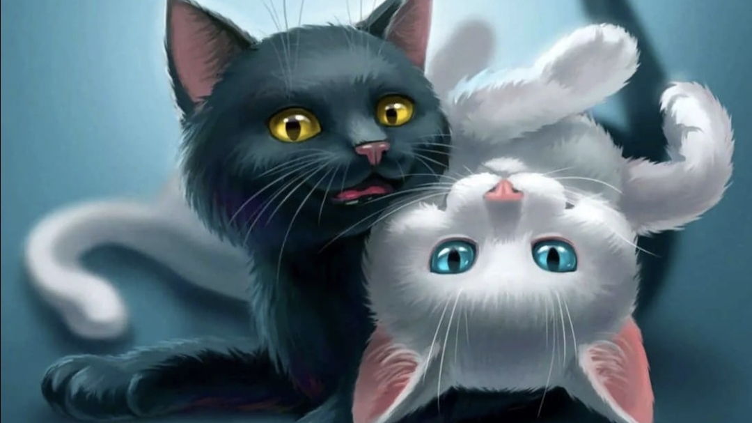 Котики - абармотики