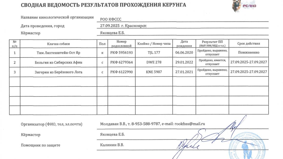 Кёрунг КРАСНОЯРСК 27 сен`25 (Е.Яковцева) 3 собаки