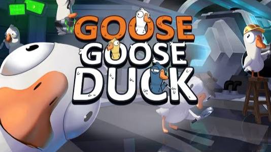 Goose Goose Duck