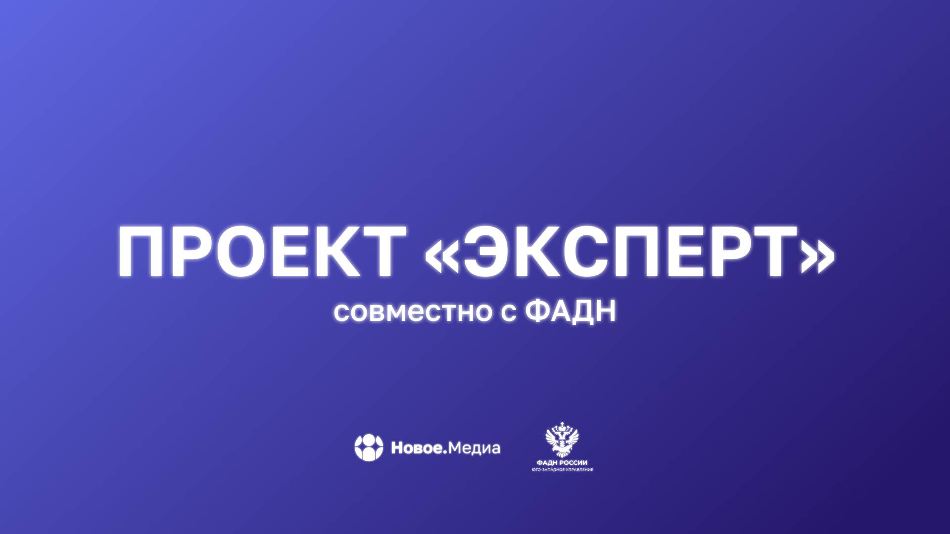 Эксперт
