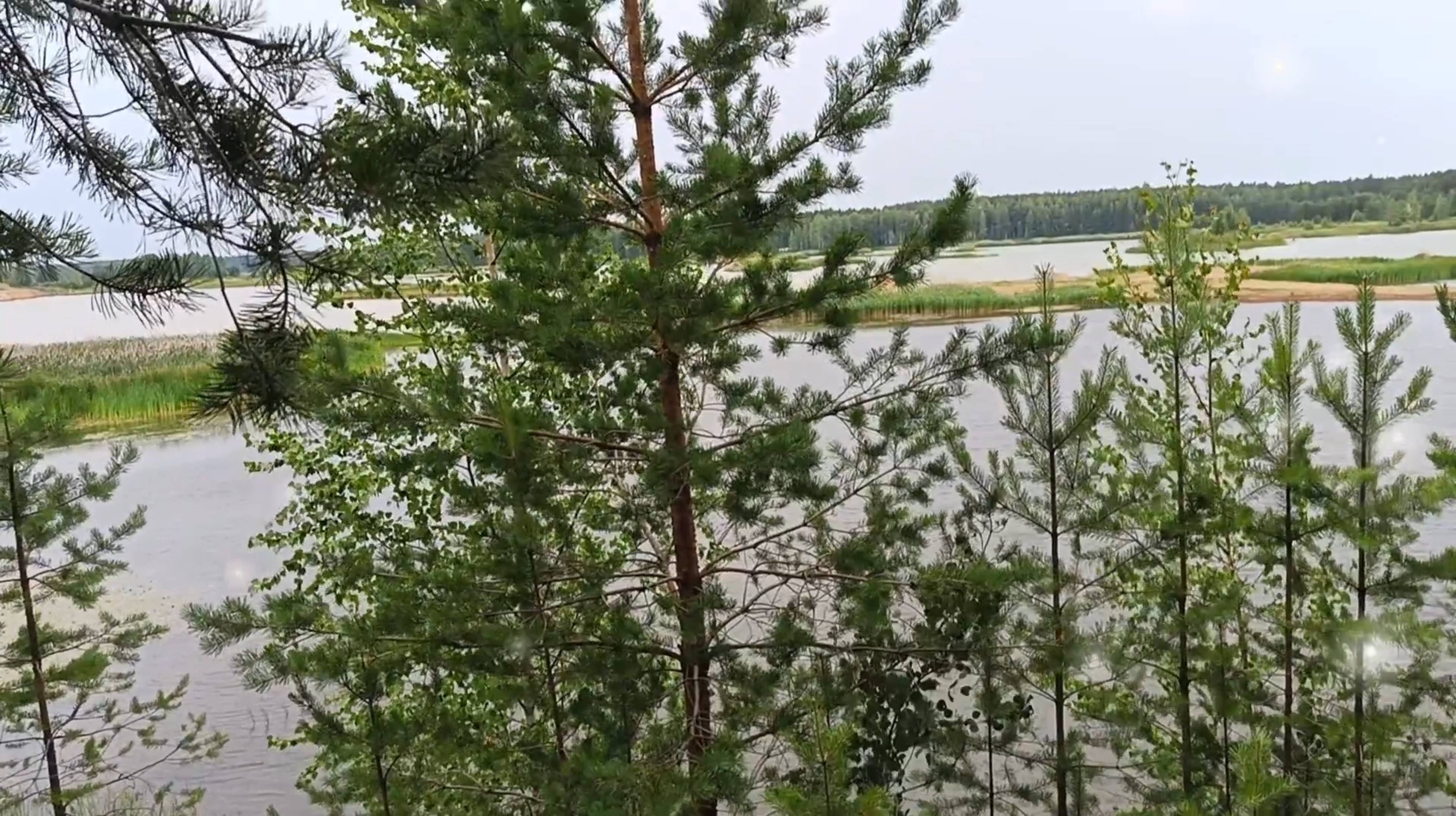Путешествия