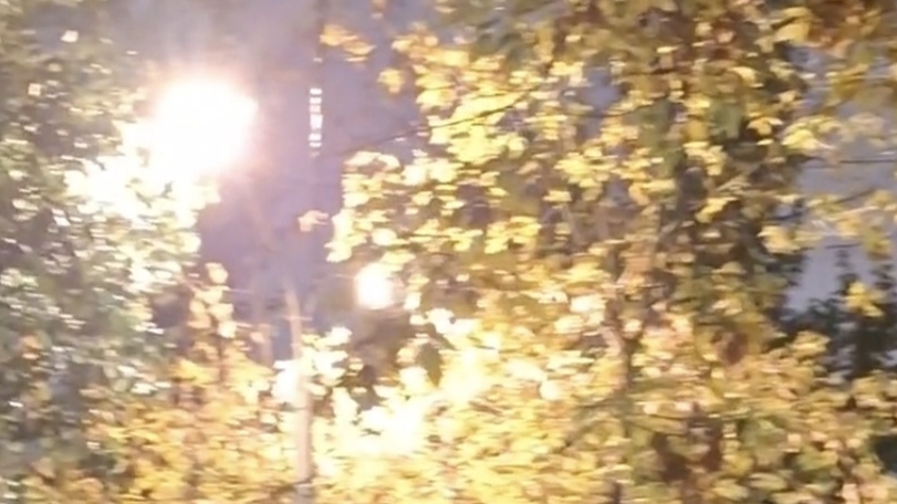 времена года.