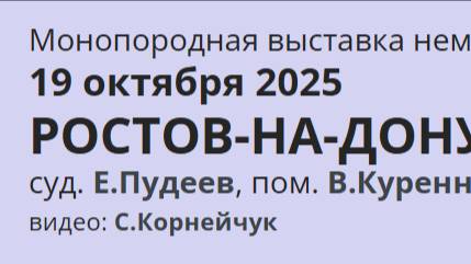 КЧК РОСТОВ-НА-ДОНУ 19 октября`25 Е.Пудеев Моно немецких овчарок