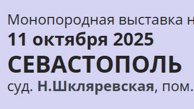 КЧК СЕВАСТОПОЛЬ 11 октября`25 Н.Шкляревская Моно немецких овчарок