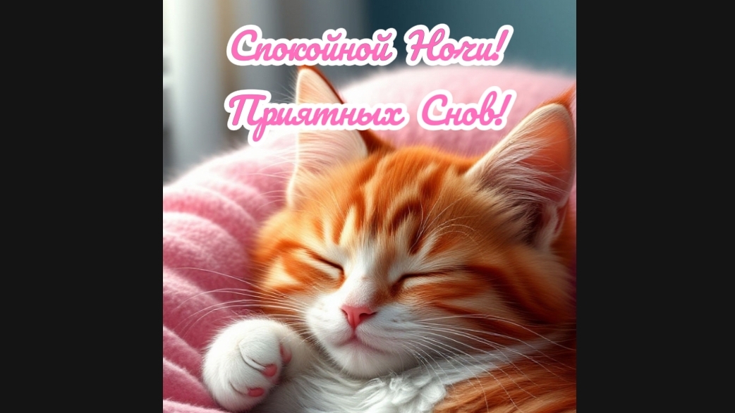 Спокойной Ночи😴🌙✨💋