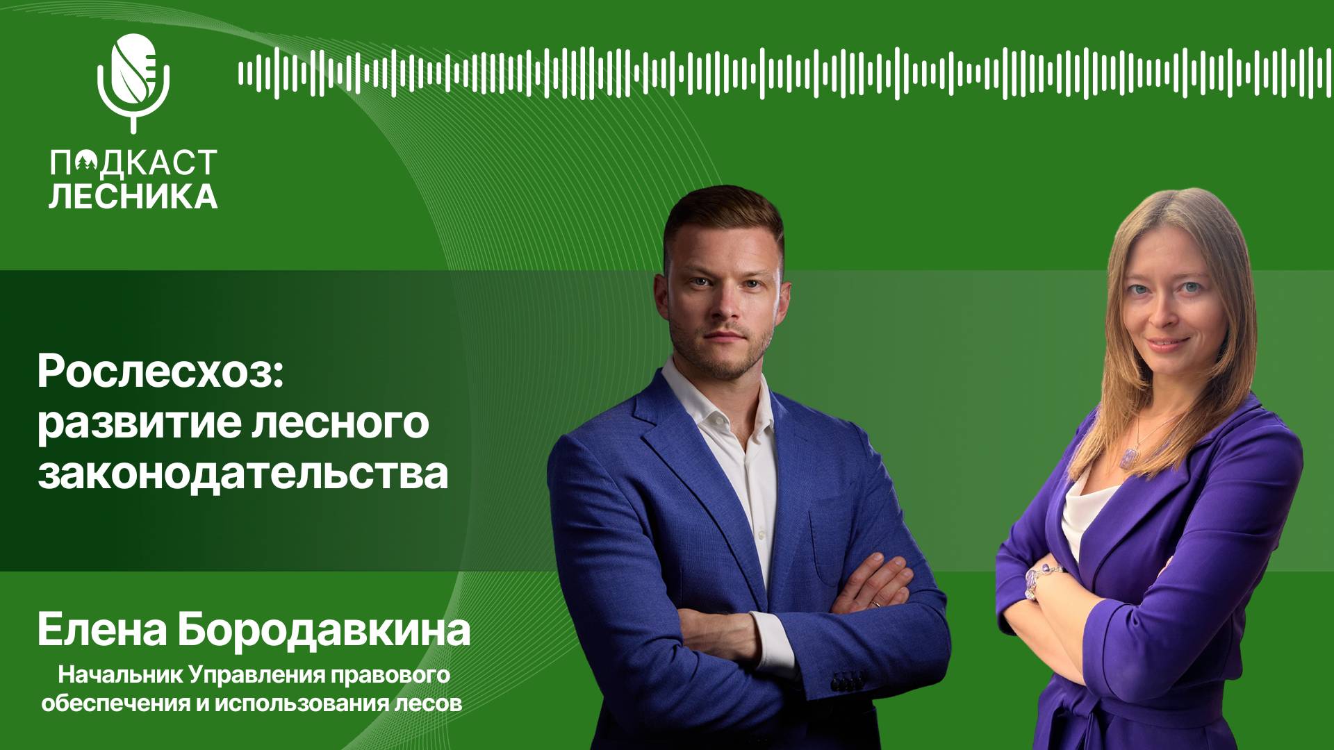 Елена Бородавкина. Развитие лесного законодательства