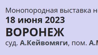 КЧК ВОРОНЕЖ 18 июня`23 А.Кейвомяги Моно немецких овчарок