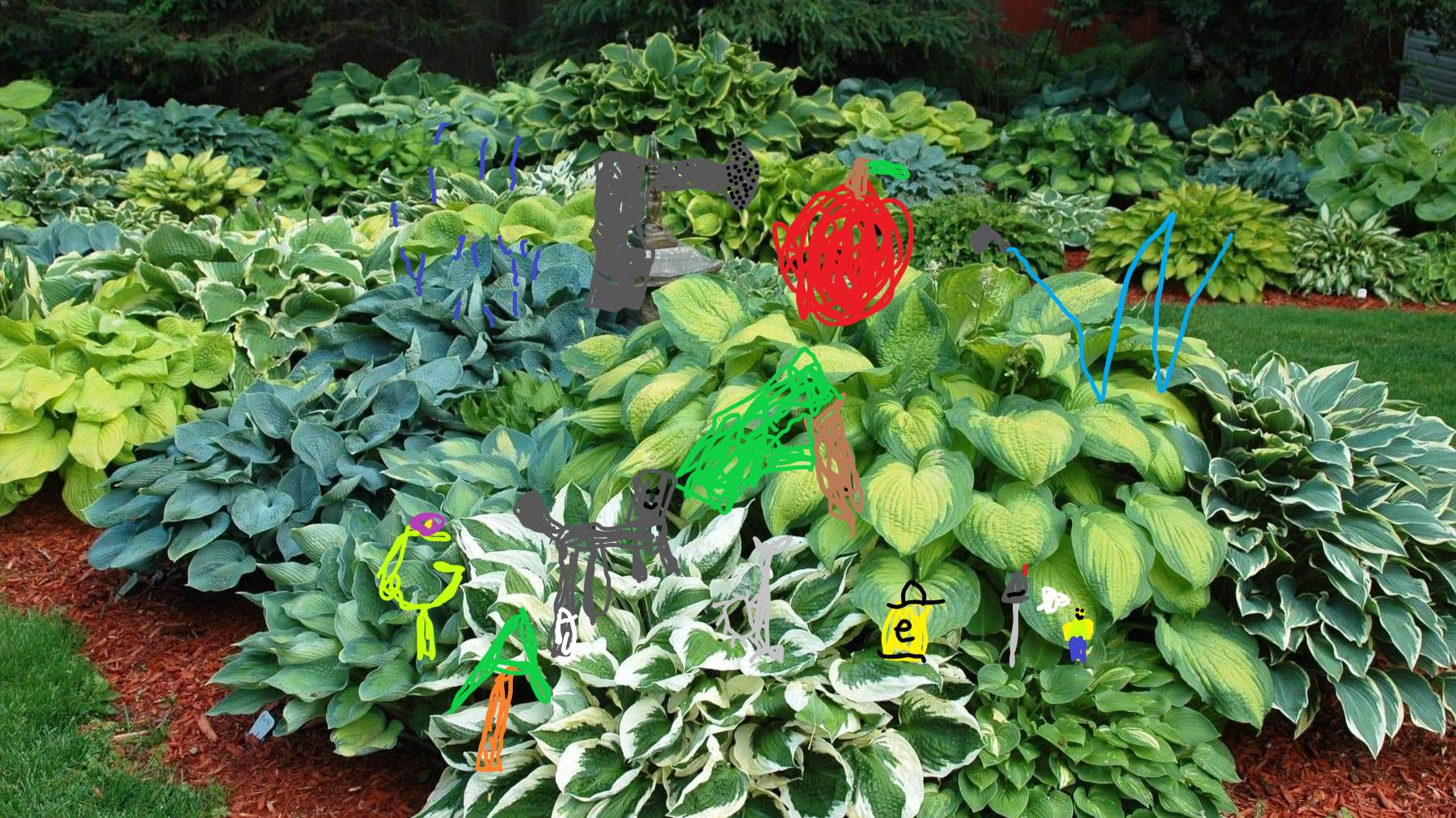 Grow A Garden