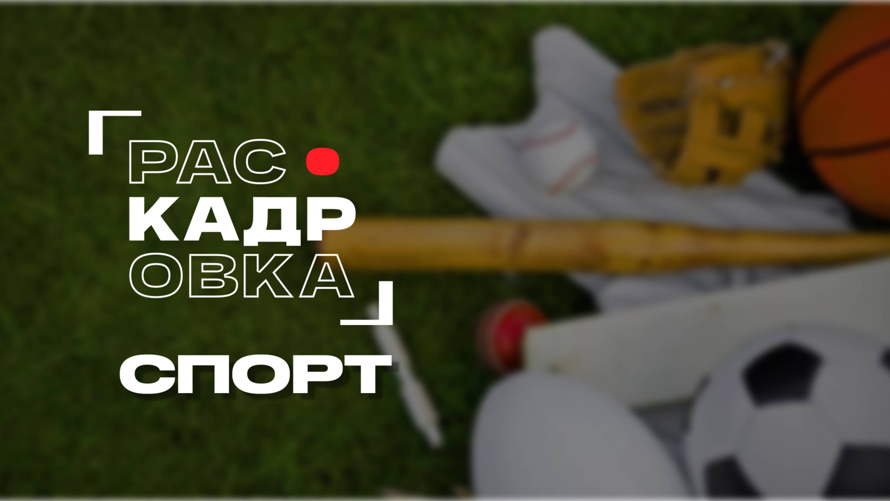 Спорт