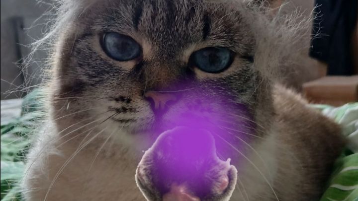 эдиты с котиками 😺