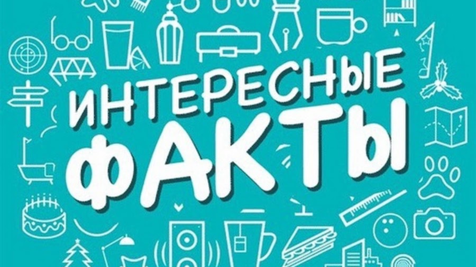 Интересные факты