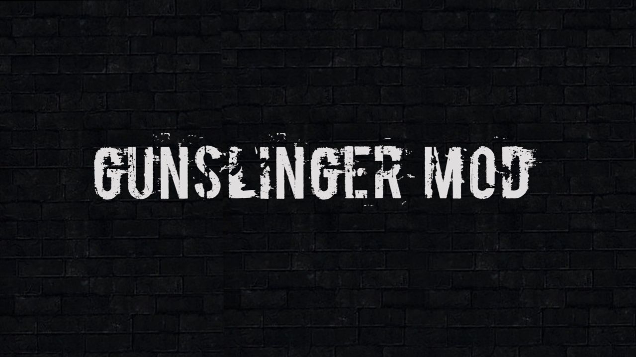 S.T.A.L.K.E.R. - GUNSLINGER mod