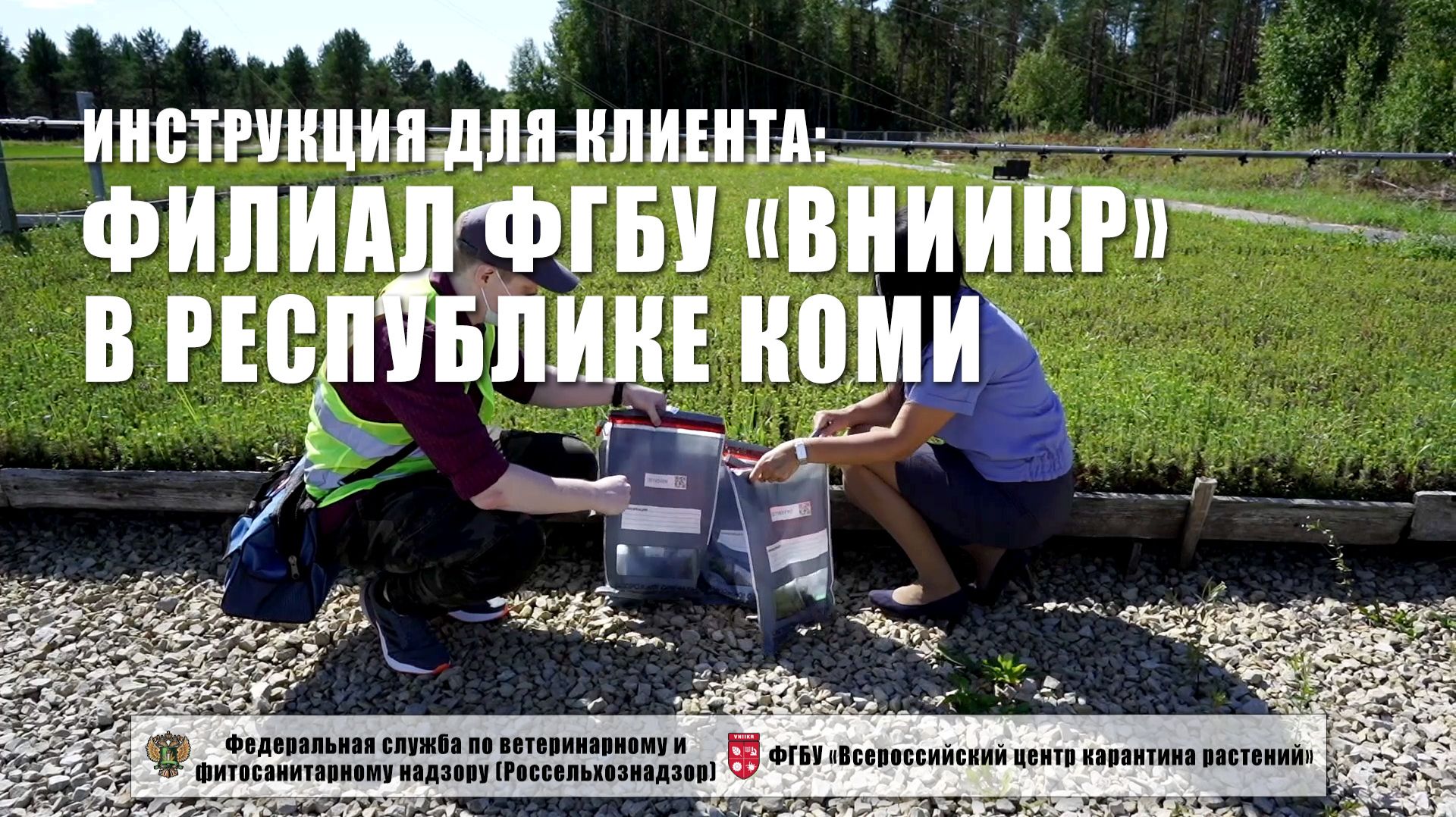 Филиалы ФГБУ «ВНИИКР». Инструкции для клиента