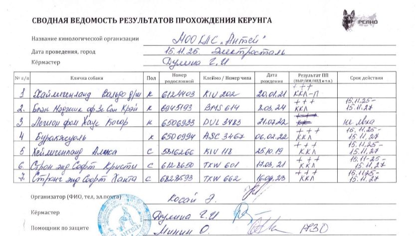 Кёрунг МОСКВА 15 ноя`25 (Г.Дулина) 9 собак