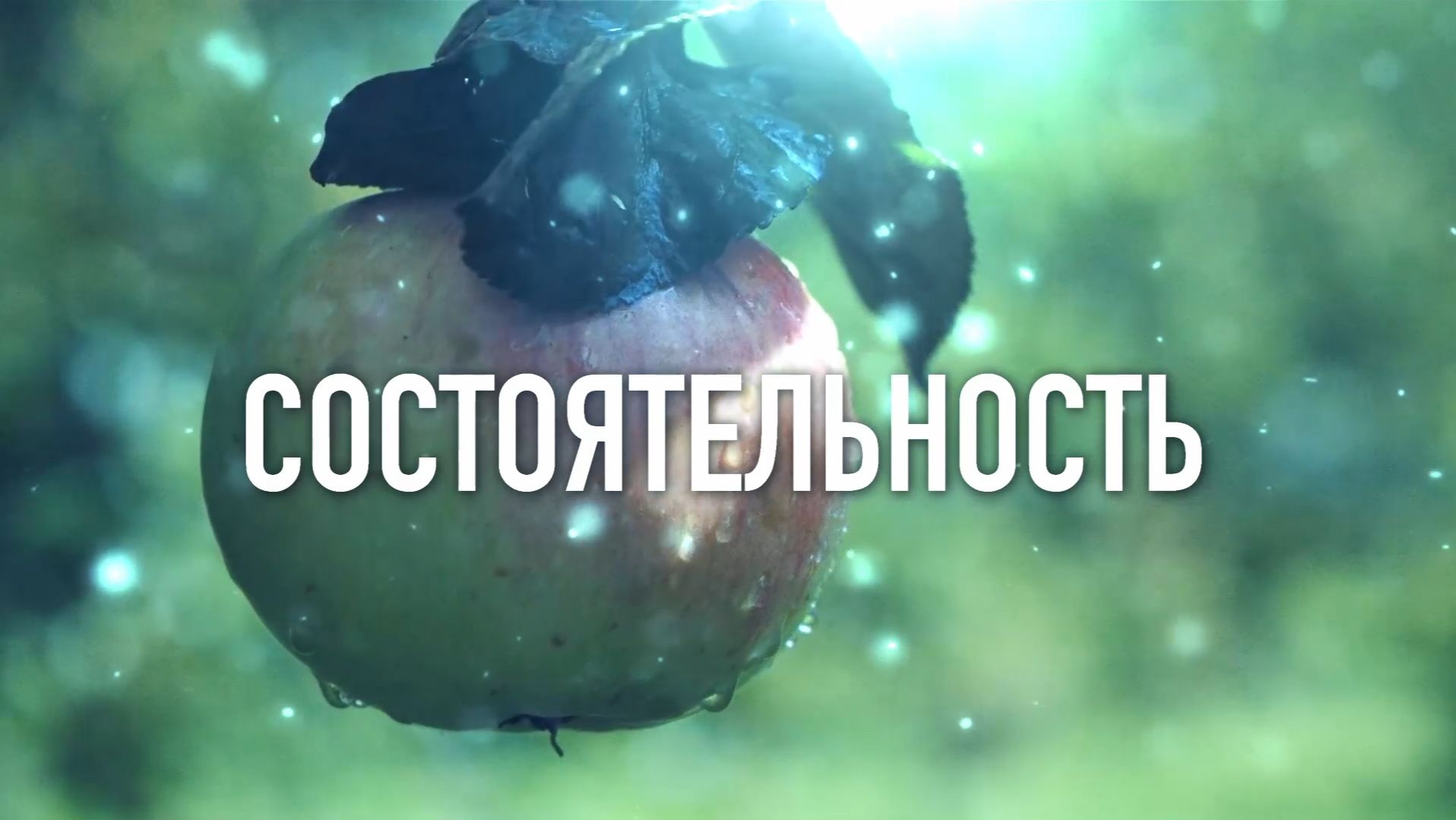 Документальный цикл «Состоятельность»