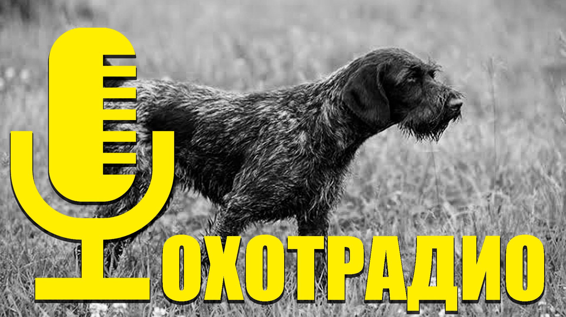 ОХОТА С СОБАКАМИ