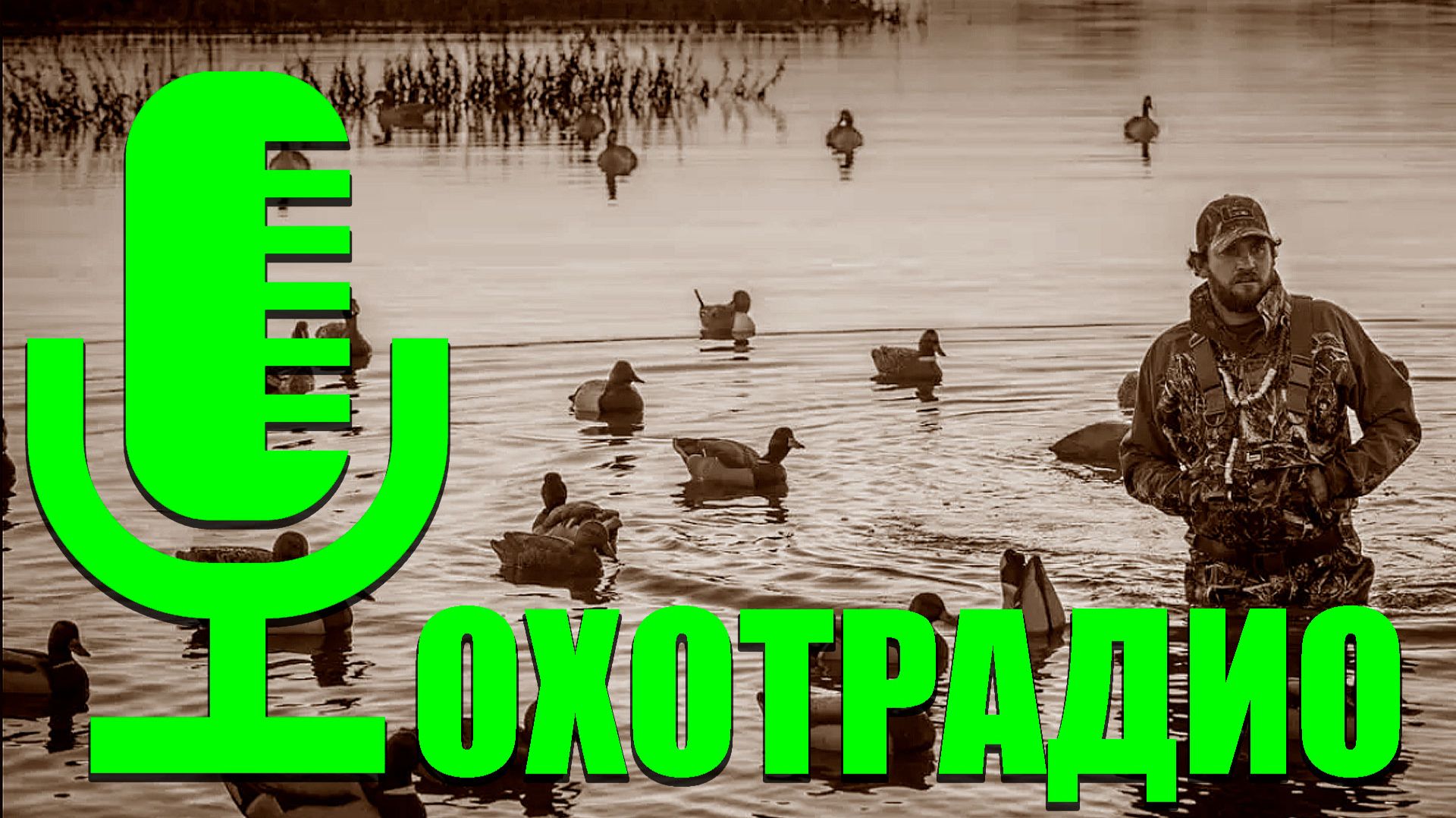Здесь все об охоте на уток и гусей
