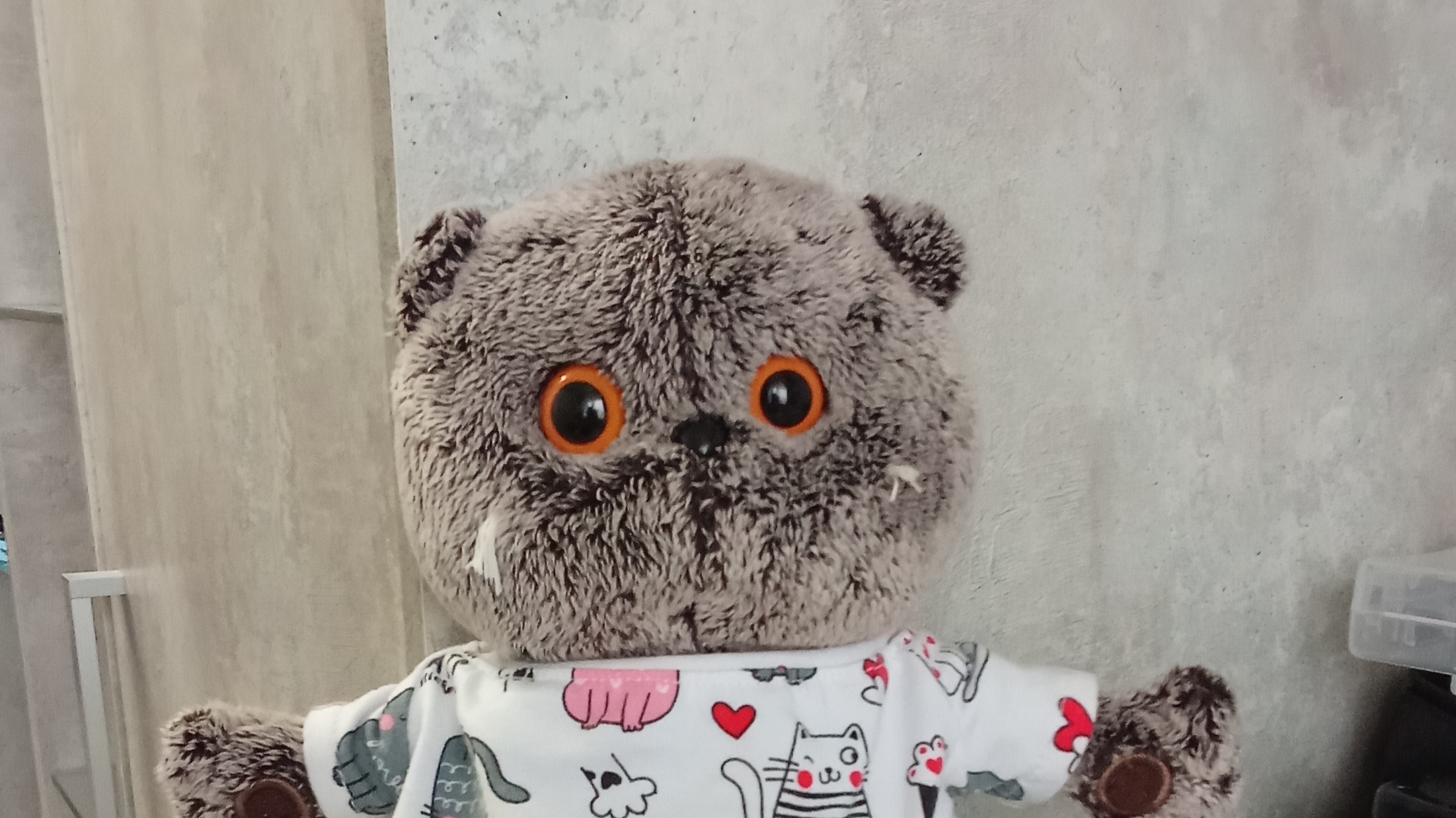 Влоги с басиком ♡