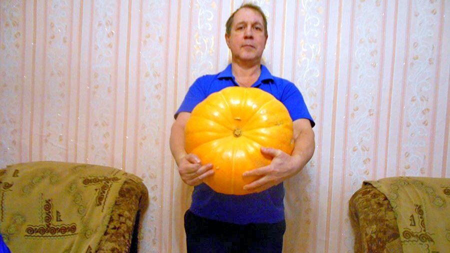 Тыква