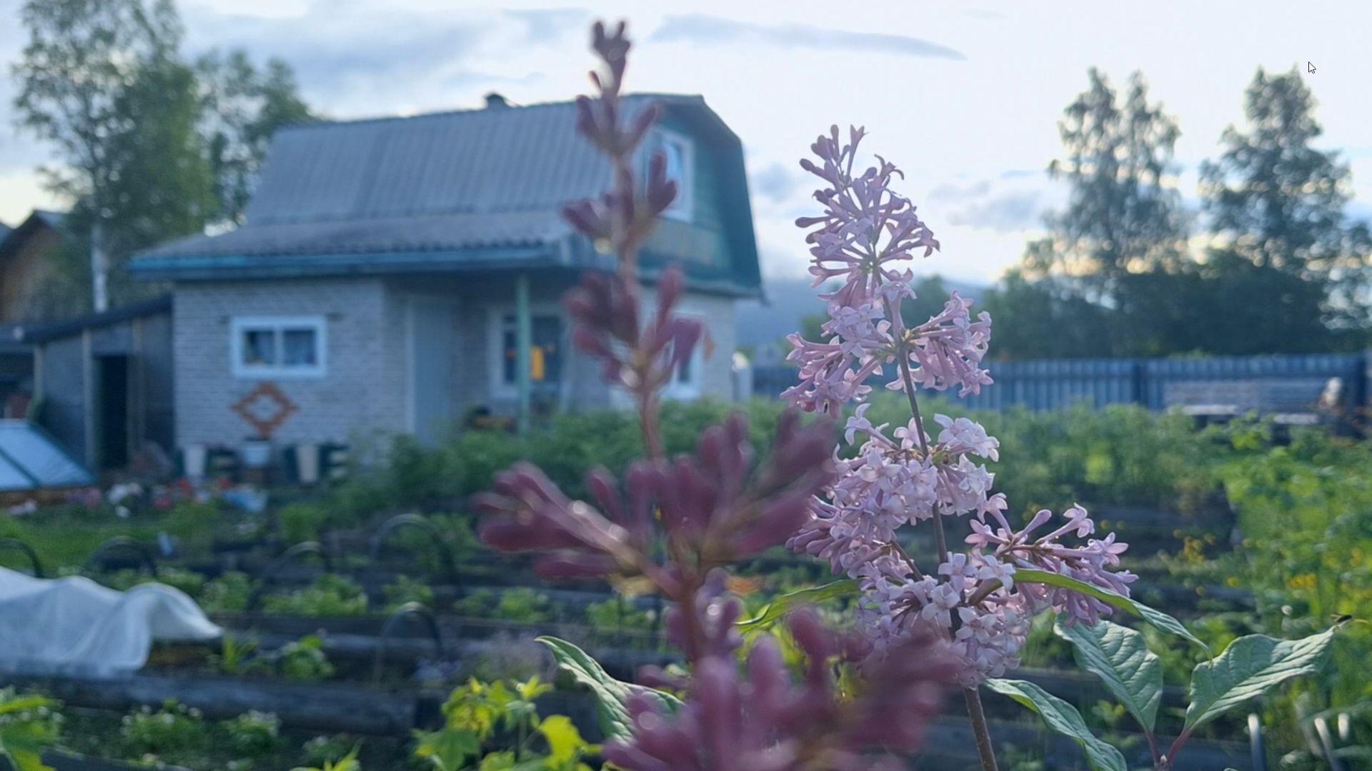 ДАЧА 4 СЕЗОН