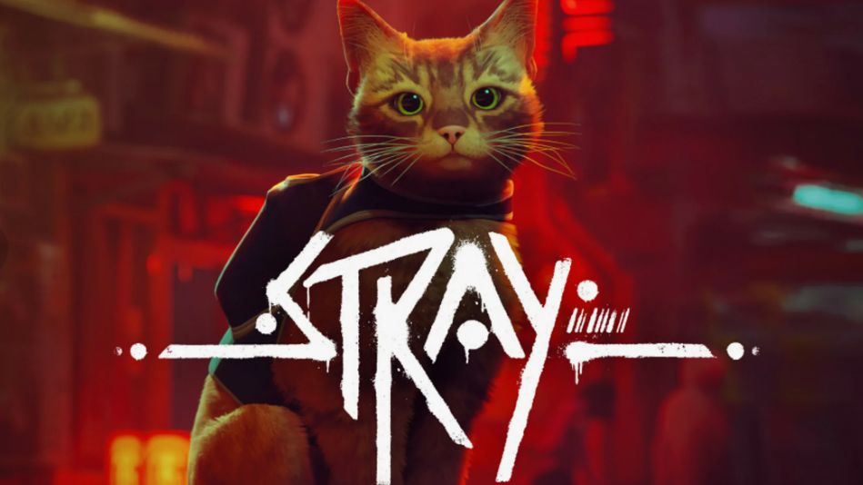 Stray