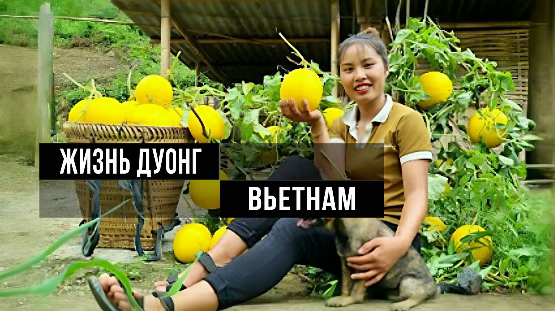 Жизнь Дуонг
