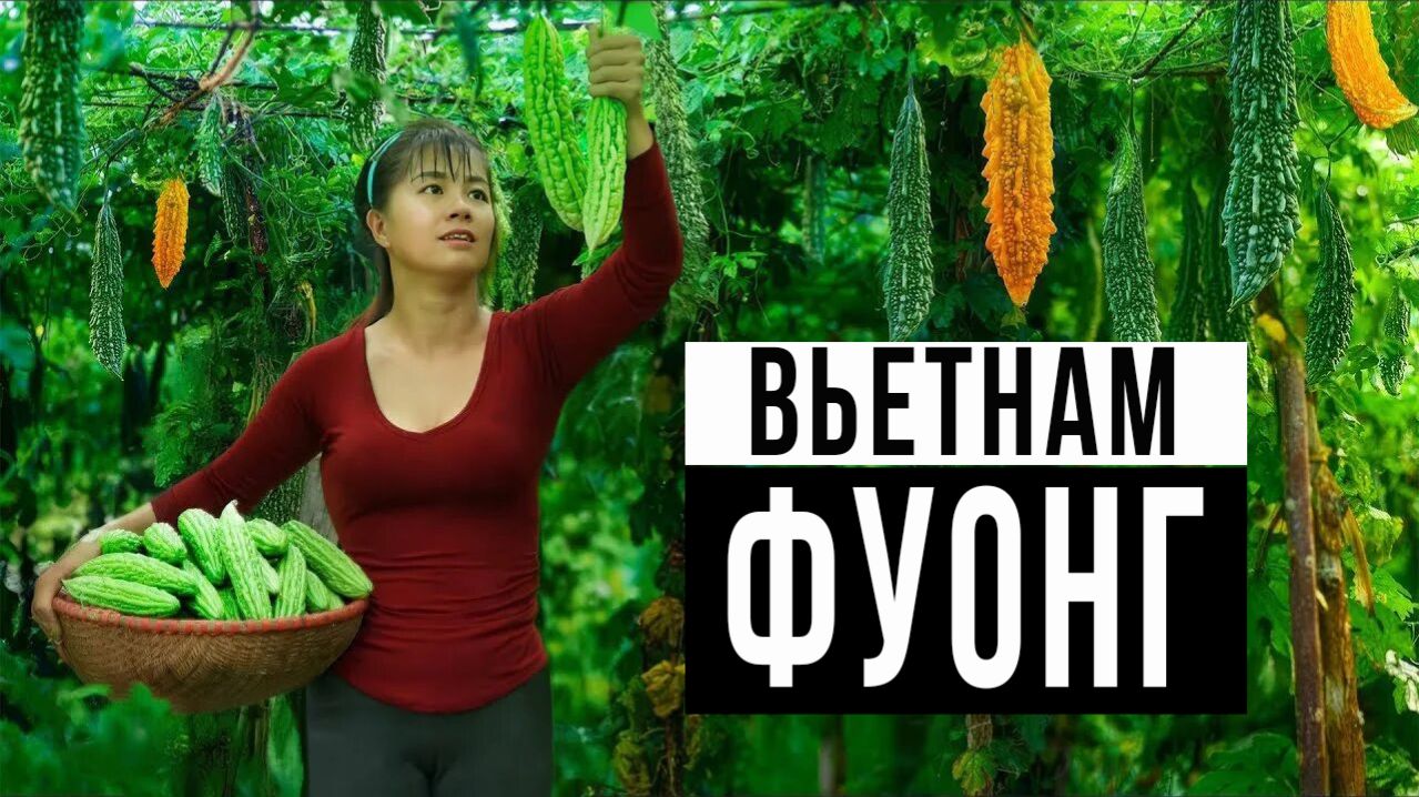 Фуонг. Житейская история