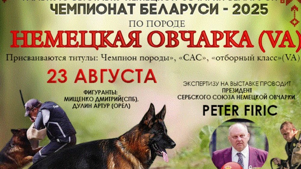 ЧК БЕЛАРУСЬ 23 августа`25 P.Firic Моно немецких овчарок