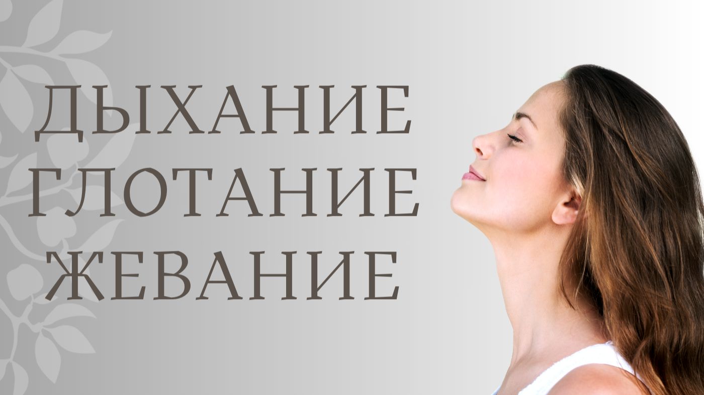 Дыхание, глотание, жевание